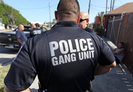 Gang Crimes Unit