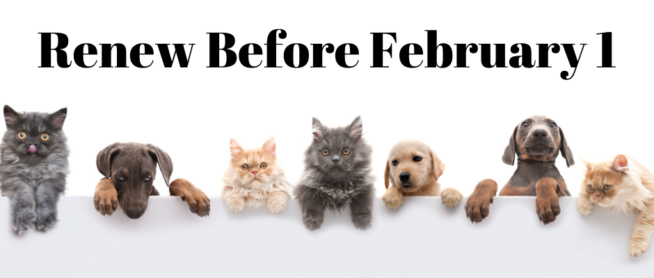 Pet Tag Deadline is Feb. 1 (1)