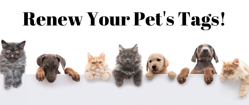 Pet Tag Deadline is Feb. 1 (2)